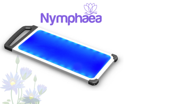 Nymphaea blog visual